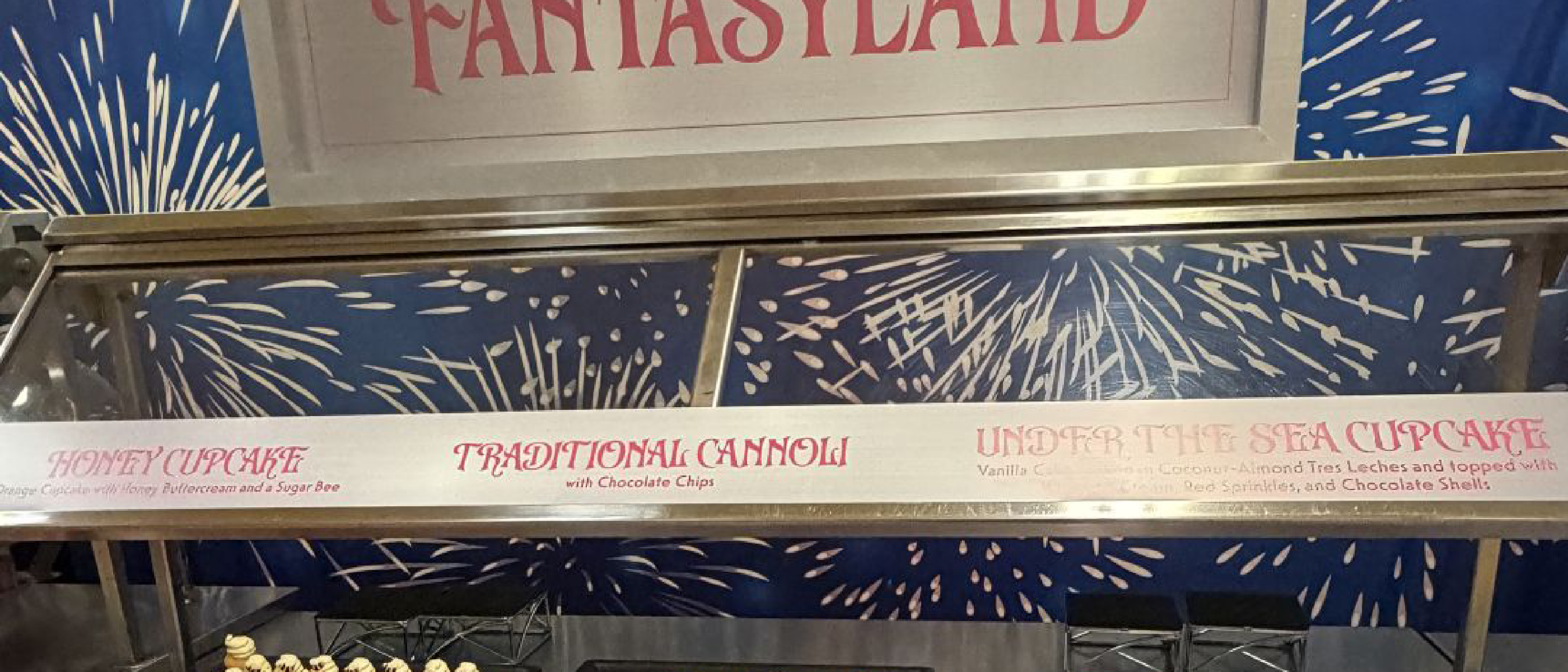 Magic Kingdom Fireworks Dessert Party Review