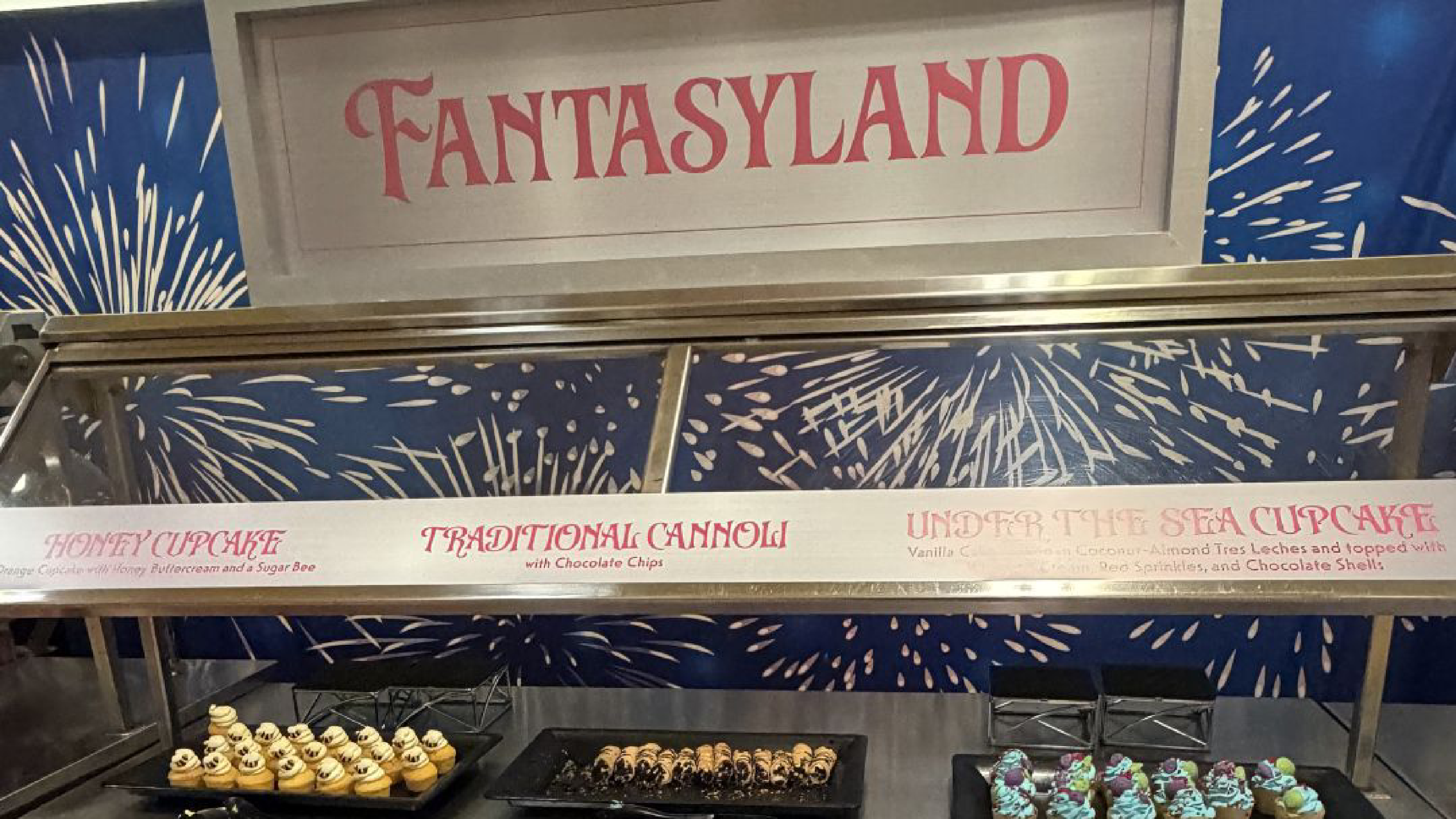 Magic Kingdom Fireworks Dessert Party Review