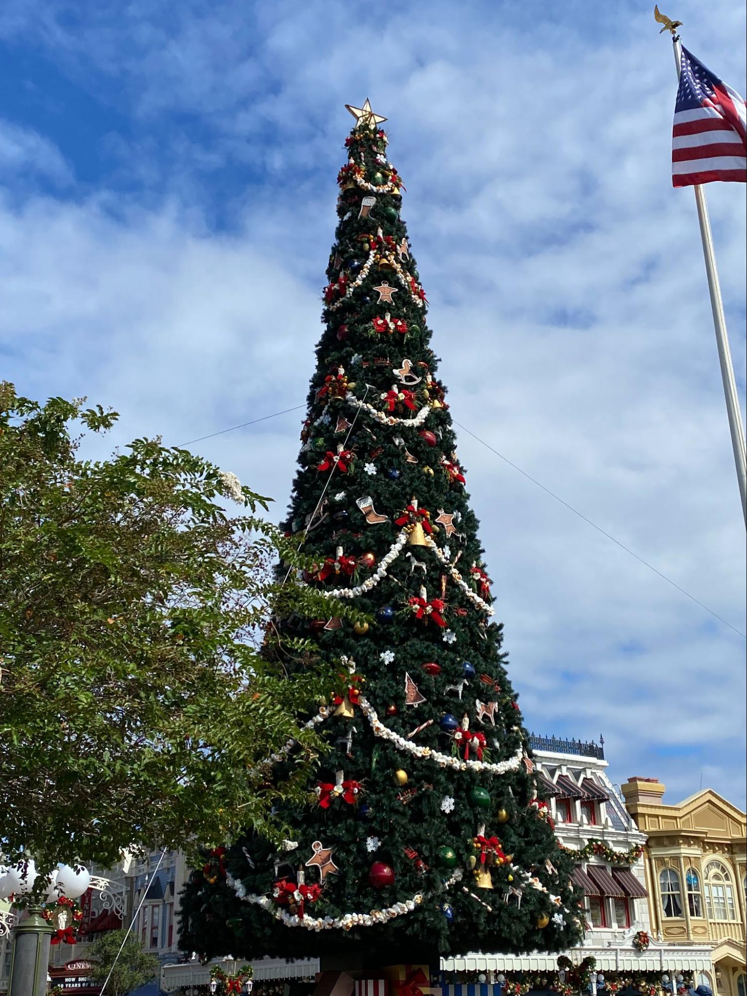 A picture of a large Christmas tree